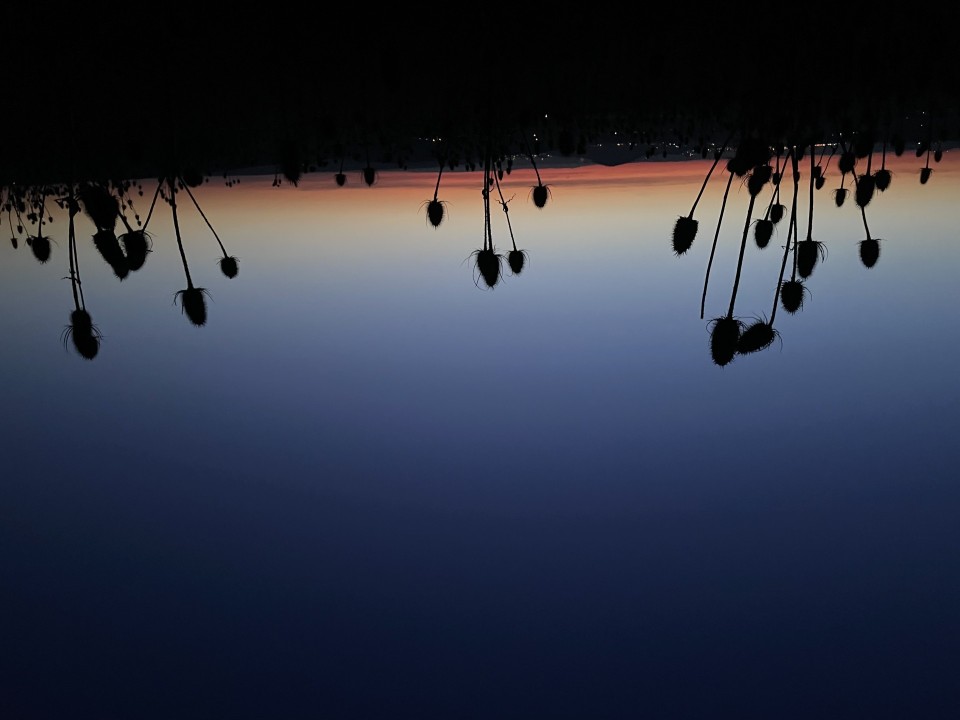 Himmelsvorschau für März 2026