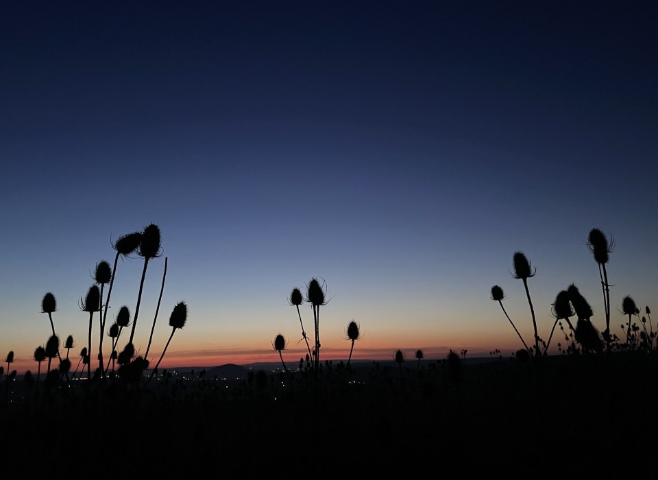 Himmelsvorschau für März 2026