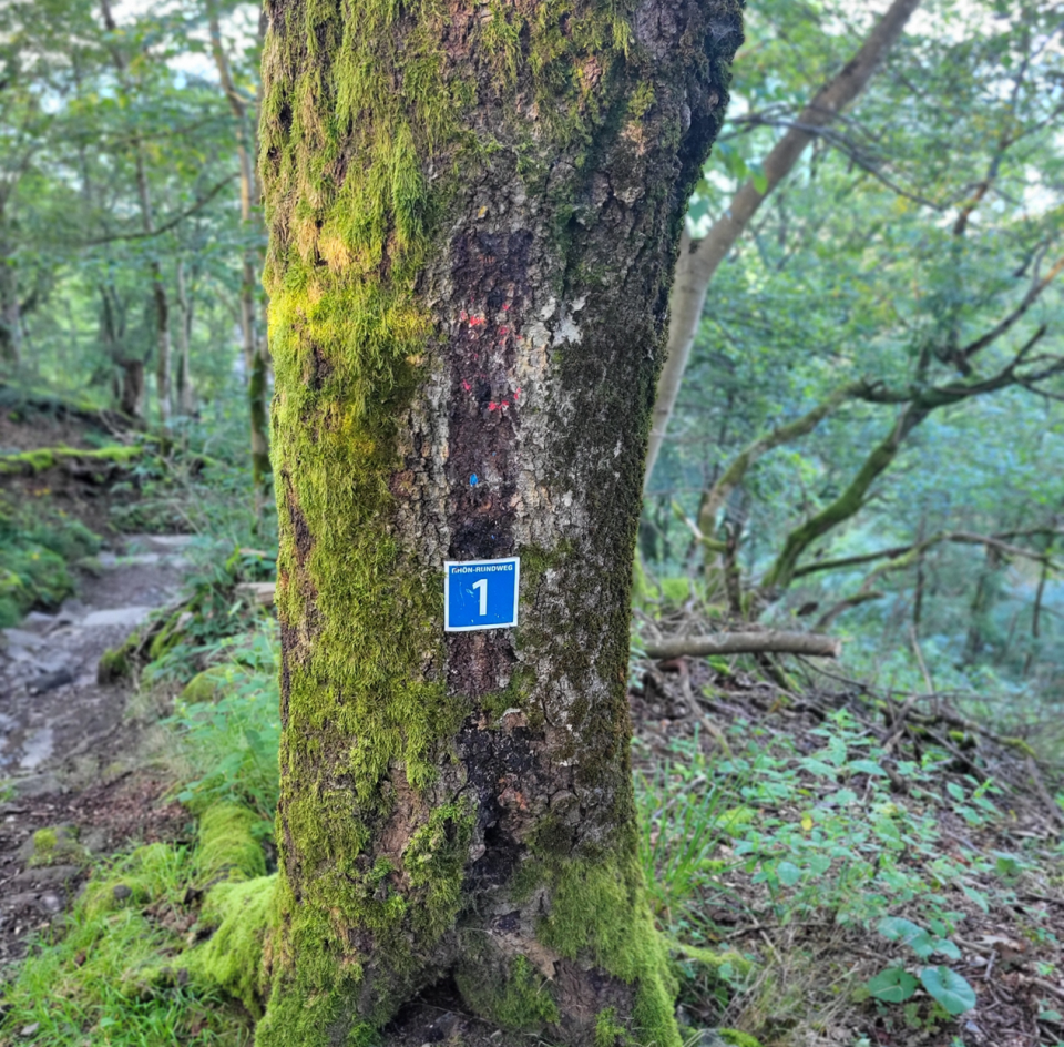 Überarbeitung der Rhönrundwege in Hofbieber gestartet